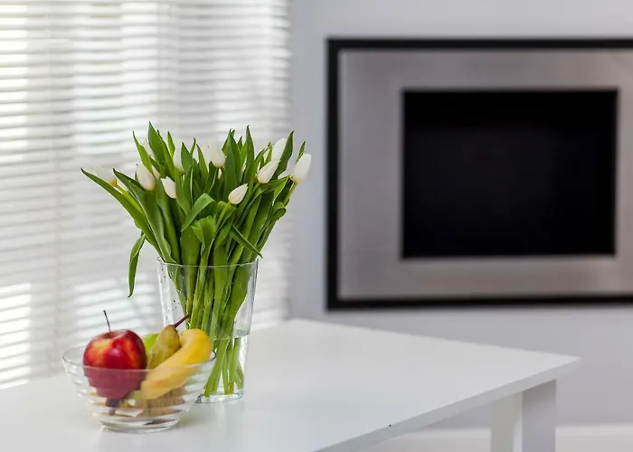 公寓 Happy Comfort By The 索波特